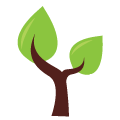 KnowledgeTree Training