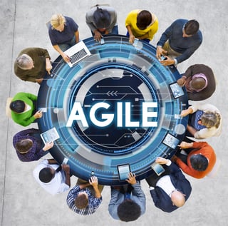 Agile, Waterfall, and Hybrid: Managing the Multiple-Methodology Portfolio