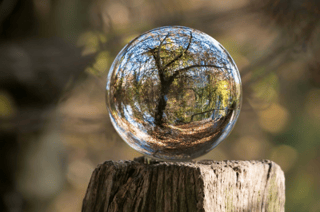 Importance of Project Management & Transparency