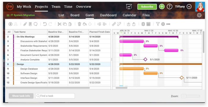 ProjectManager.com screenshot