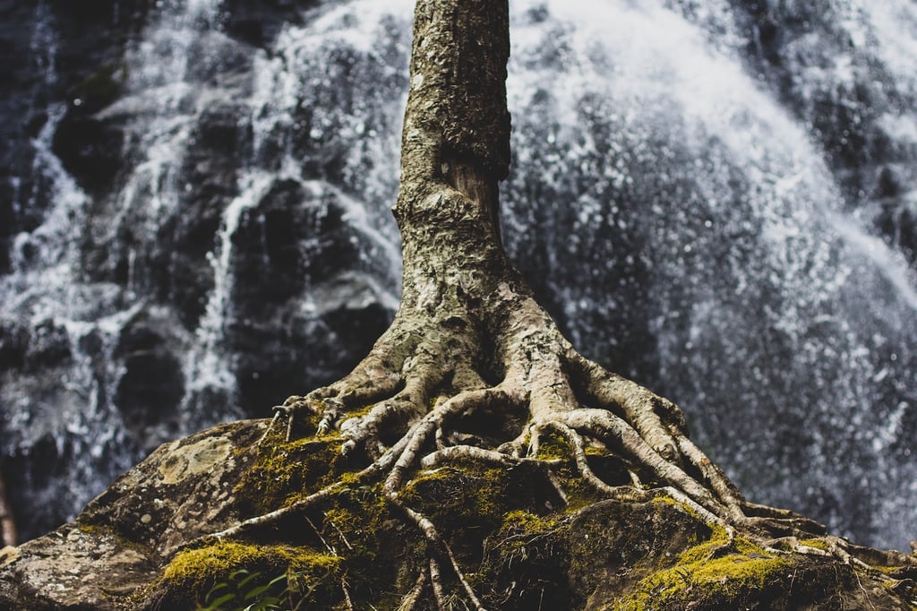 Root-Cause Analysis Tools & Templates