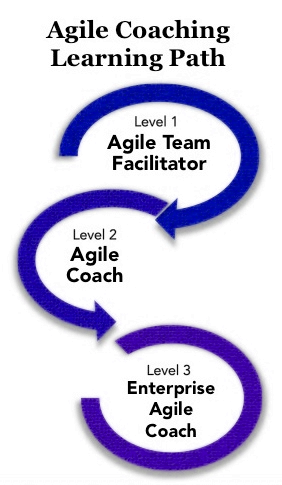 Agile Coach types