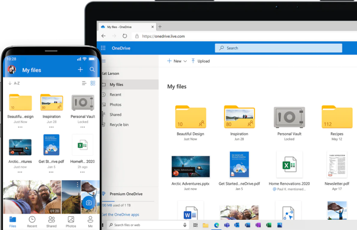 Microsoft OneDrive