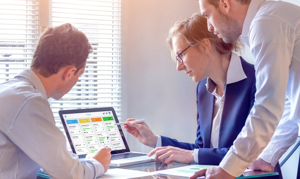 What Is a Project Management System?