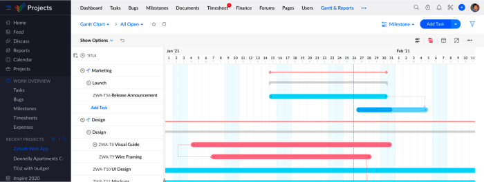 Zoho Projects