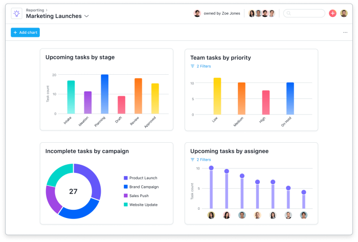 project tracker example screenshot of Asana Software