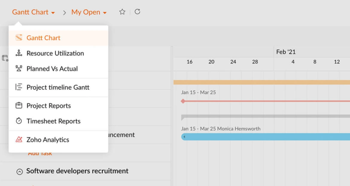 project tracker example screenshot of Zoho Projects