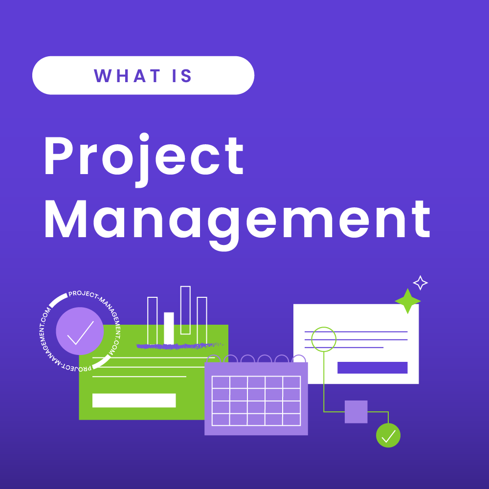 What is Project Management? Definition, Types & Examples