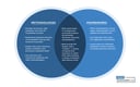 Project Management Basics: Guide for Beginners