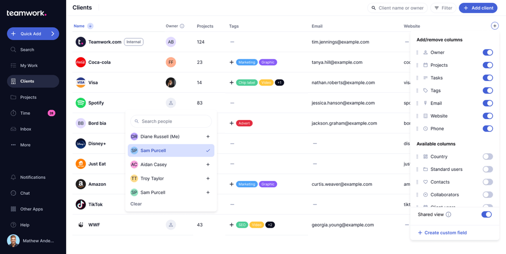 Teamwork client management dashboard showing a client list with owners, projects, tags, and email details, featuring customizable columns and integrated workflows.