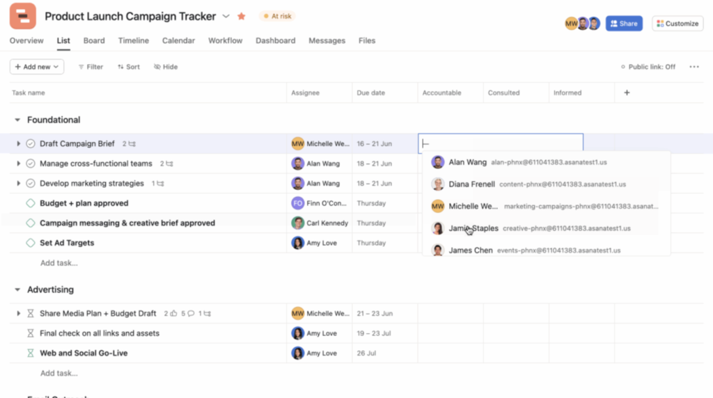 Asana campaign tracker