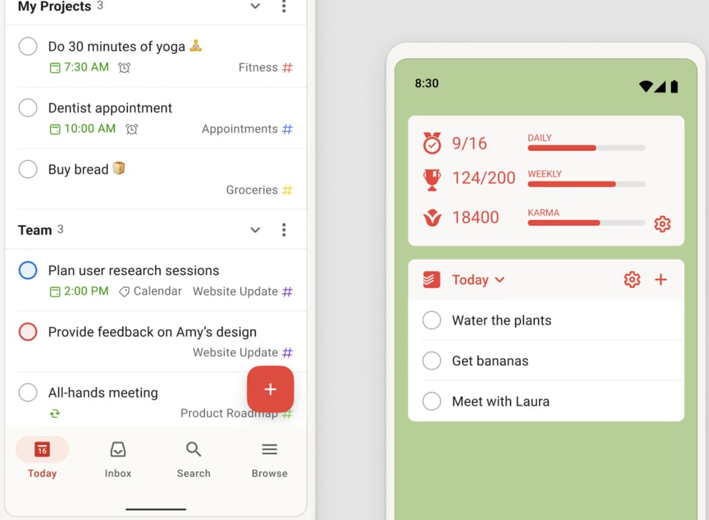 Screenshot of Todoist mobile app showing the Today view with personal and team tasks and a home screen widget that displays daily, weekly, and Karma progress bars.